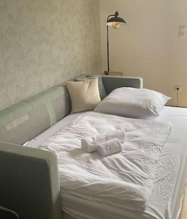 Doreyhome P5 - Zentrale Apartment Fuer 5 Pers Nahe Der Altstadt - Parkplatz - Wlan Passau Exteriör bild